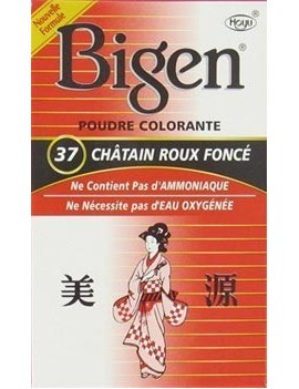 BIGEN - N° 37 CHATAIN ROUX...