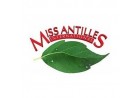 Miss antilles