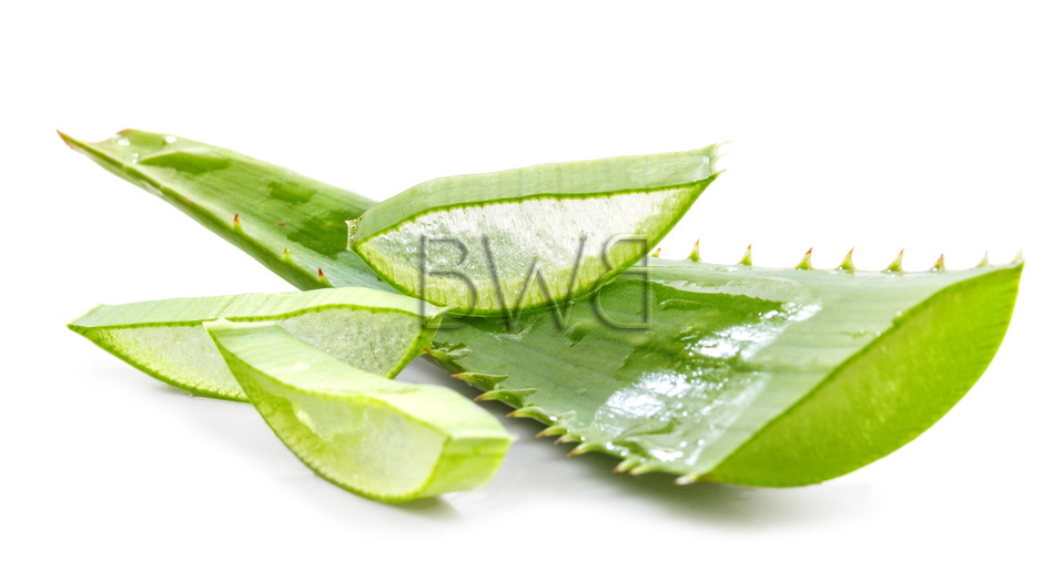 feuilles d'aloe vera