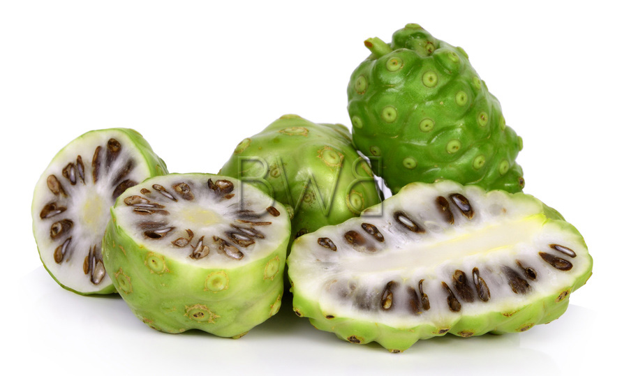 fruit tropical noni